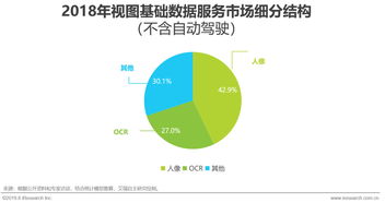2019年中国人工智能基础数据服务行业研究报告 数据处理服务篇